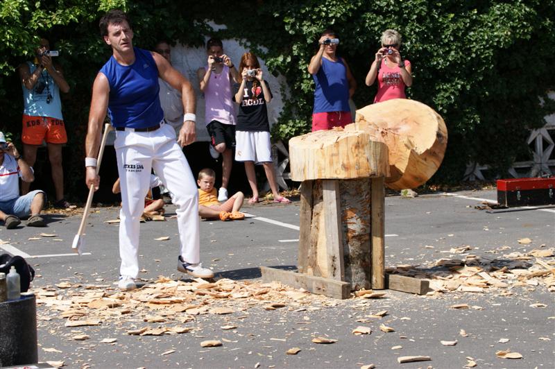 ayé , il a coupé le tronc d'arbre !!