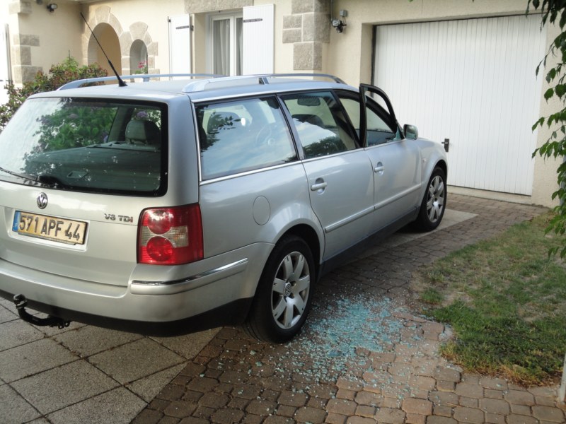 DSC00429 [800x600].jpg