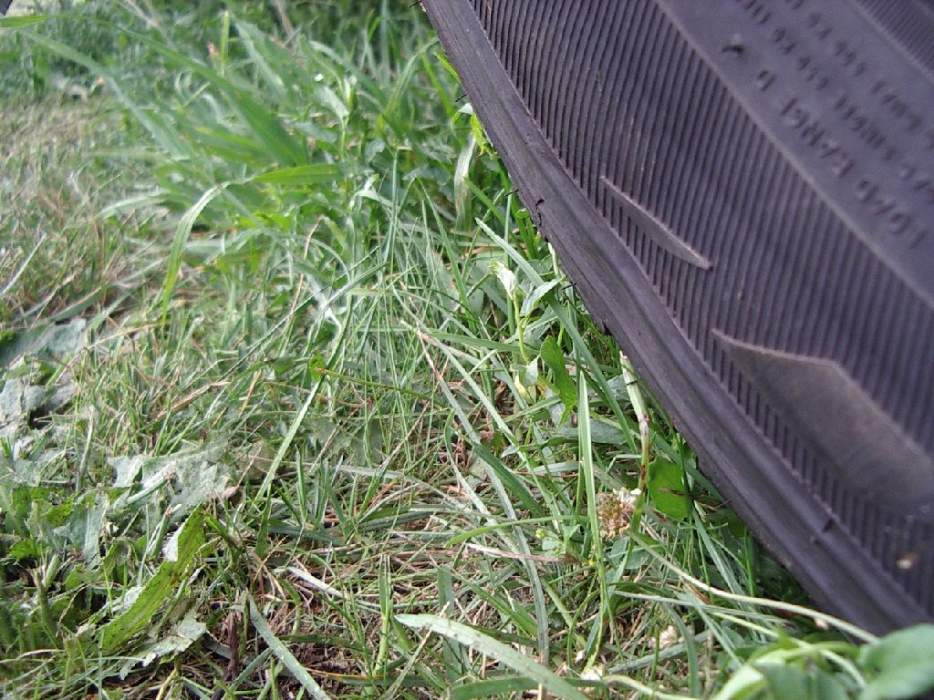 IMGP7685.JPG