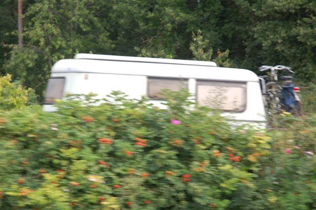 DSC_3797 (Small).JPG