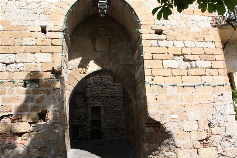 Visite de Castelnau de Montmiral