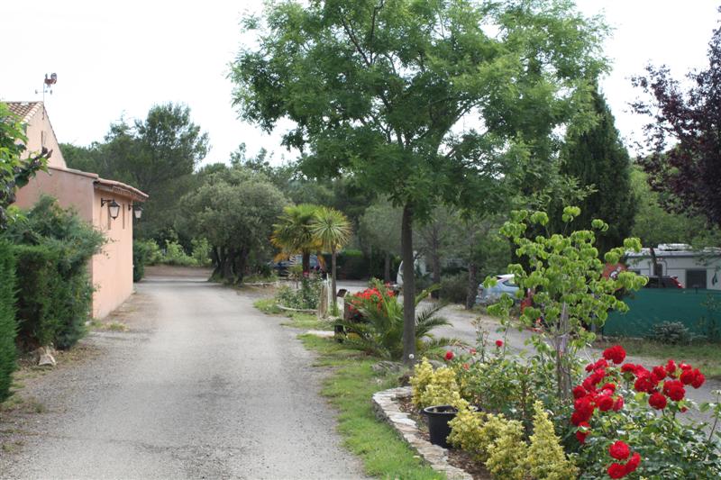 Arrivée à Laurens au superbe Camping de l'oliveraie, terme de notre 2ème étape.