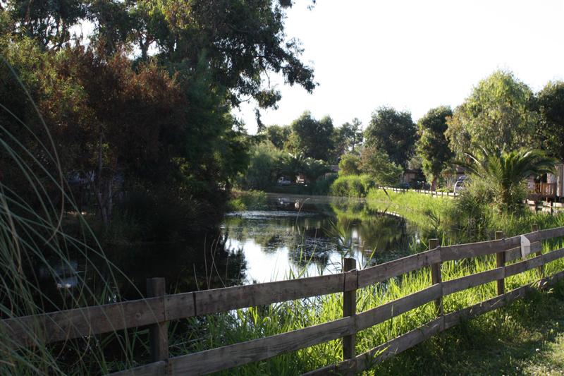 La rivière traverse le camping