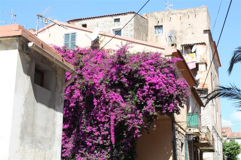 Vue de Porto-Vecchio