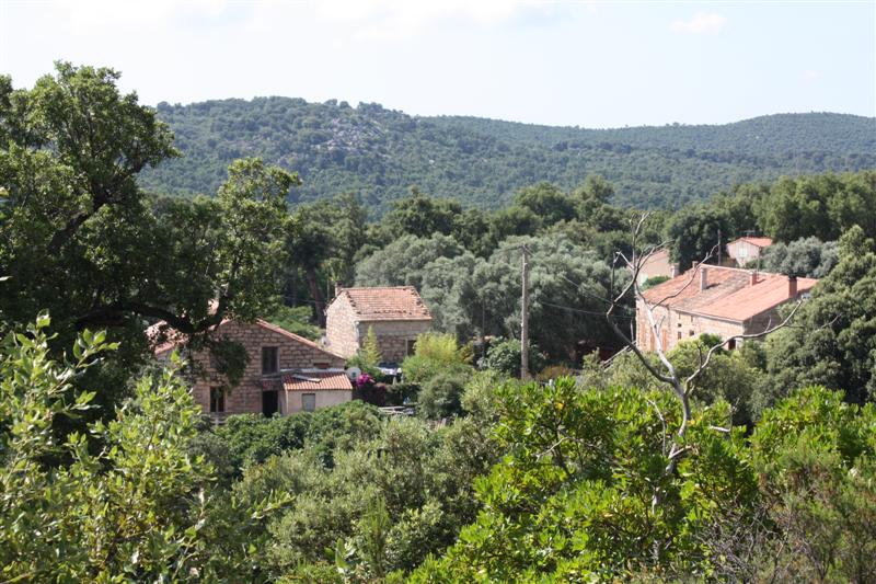 Dans le maquis d'Araghju