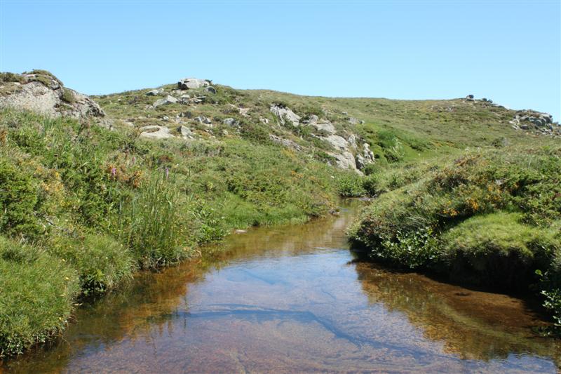 Sur le plateau du Coscione (alt. 1600 m )