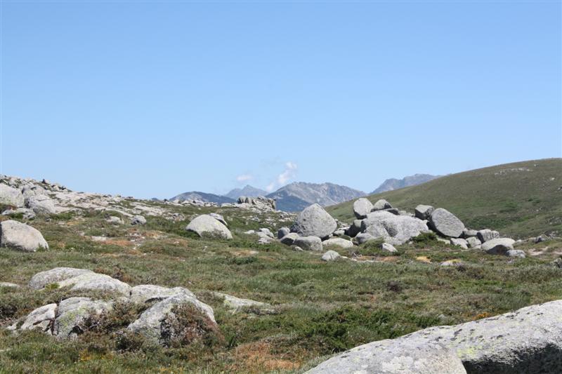 Sur le plateau du Coscione (alt. 1600 m )