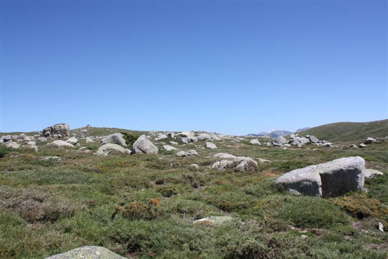 Sur le plateau du Coscione (alt. 1600 m )