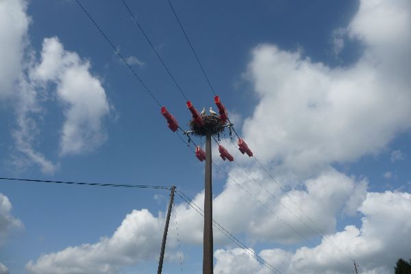 115.JPG