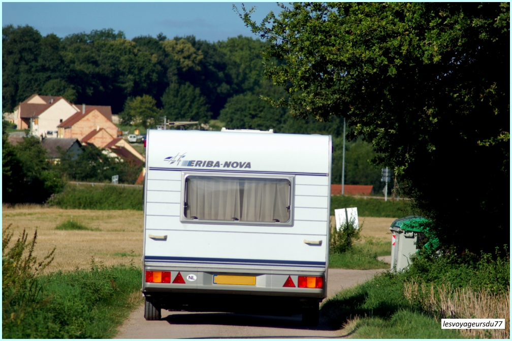 DSC_7255-1 [1000X750].JPG