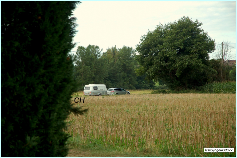 DSC_7315-1 [1000X750].JPG