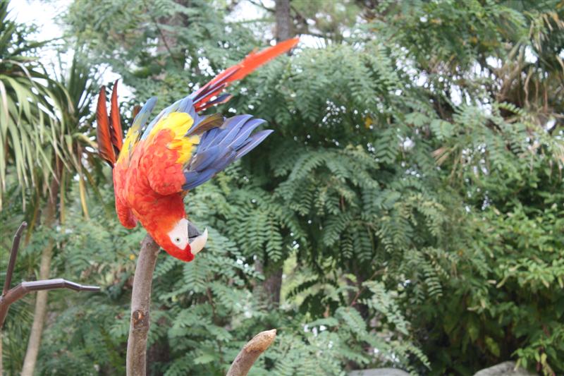 IMG_3515 (Medium).JPG