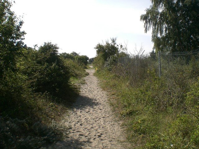 le chemin par les dunes