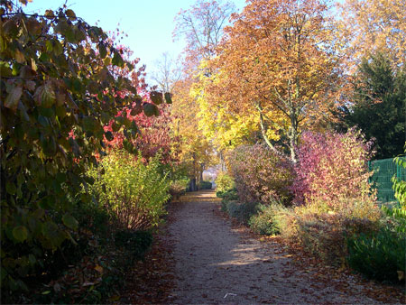 couleur-automne-06.jpg