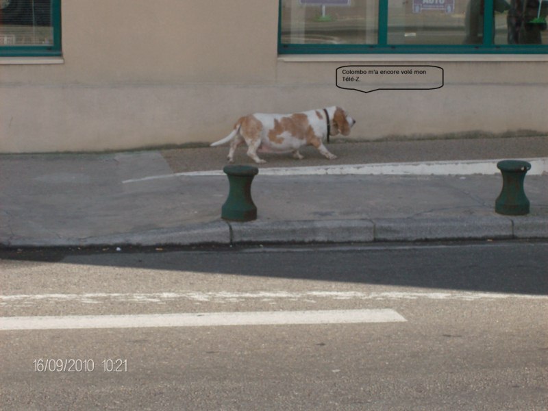 Vu hier matin à Coustelet, 84,