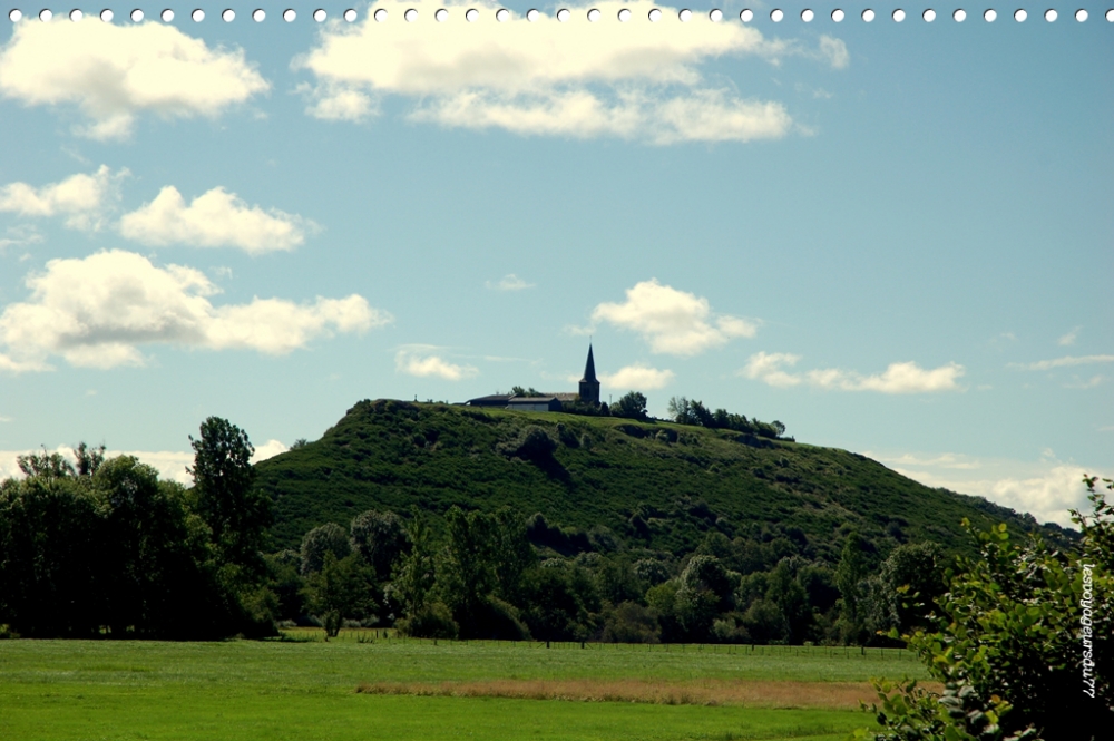 DSC_7374-1 [1000X750].jpg