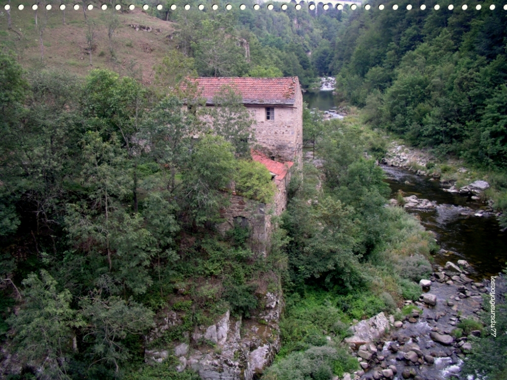 IMGP4563-1 [1000X750].jpg