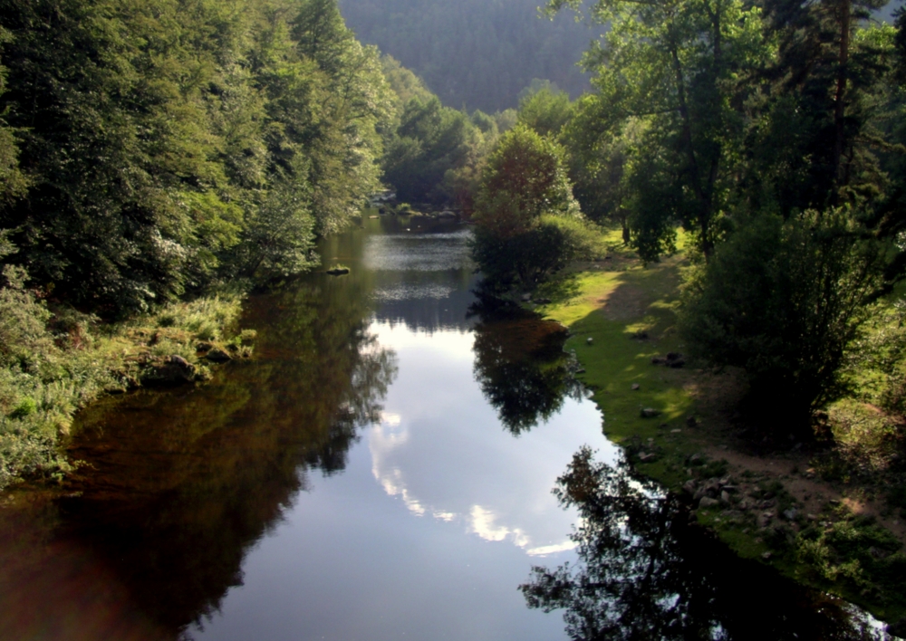 IMGP4582-1 [1000X750].jpg