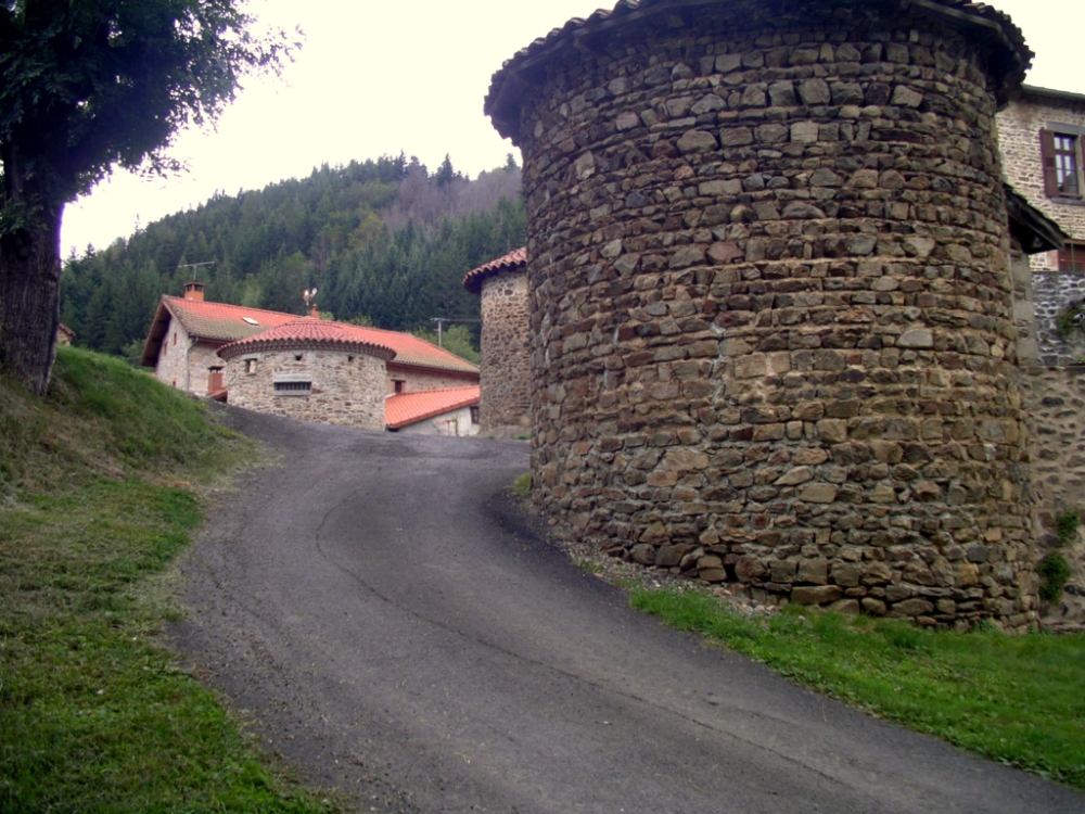 IMGP4699-1 [1000X750].jpg