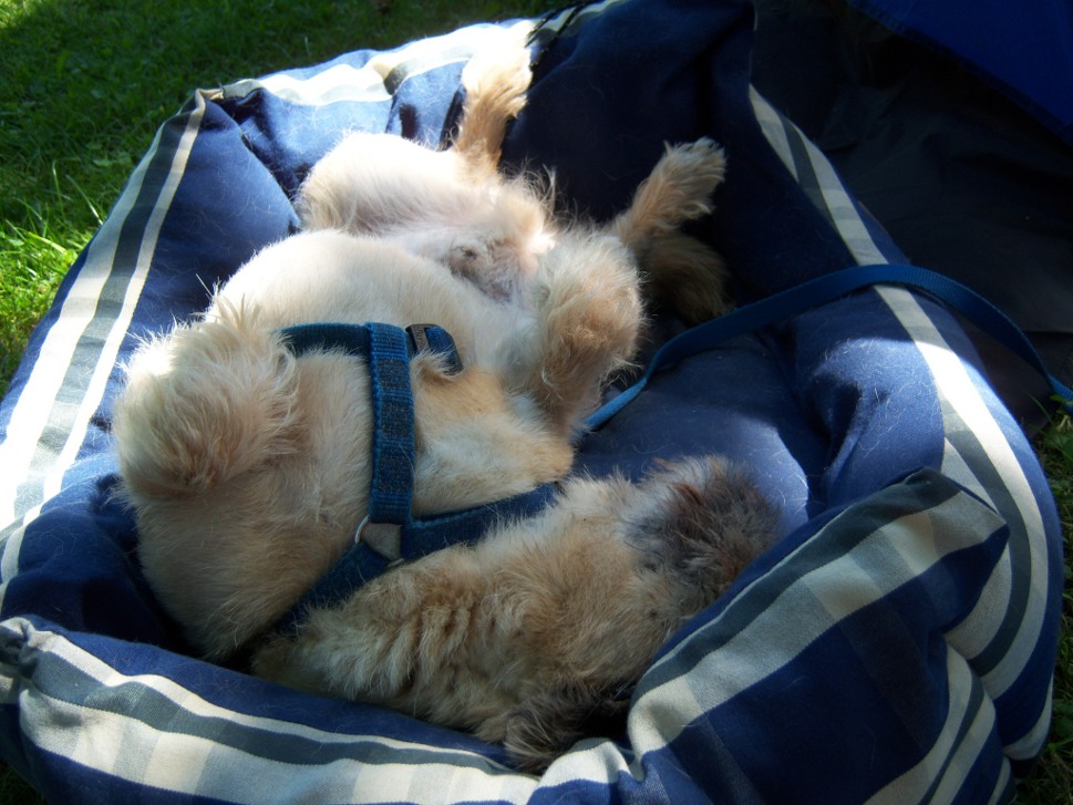 un repos bien mérité