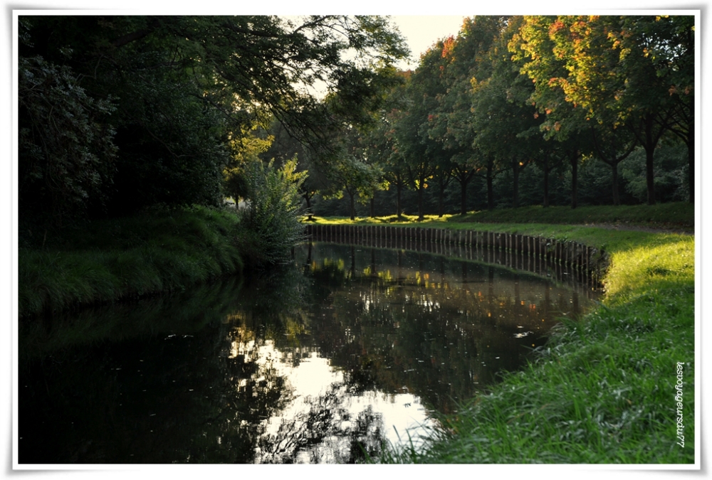 DSC_0256-1 [1000X750].jpg