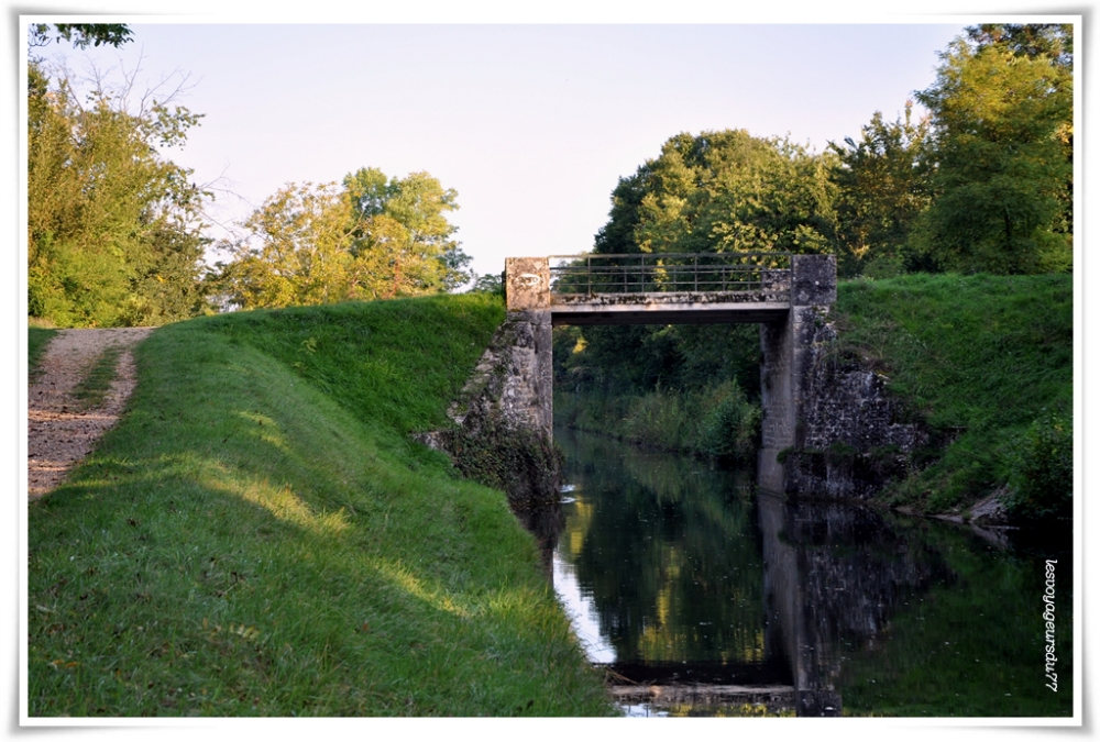 DSC_0258-1 [1000X750].jpg