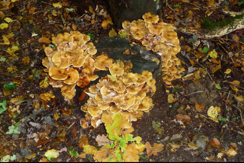 iPhoto-1.jpg