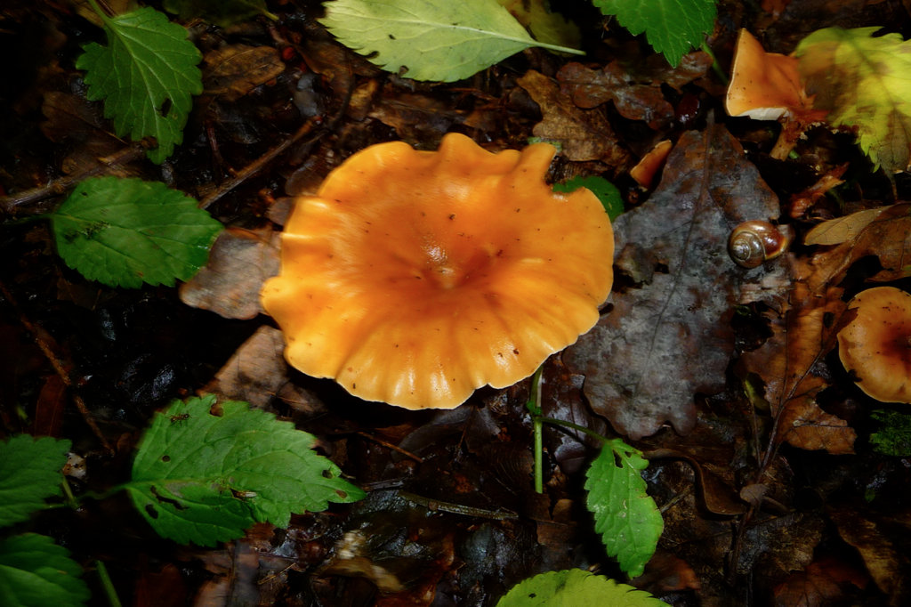 iPhoto-9.jpg