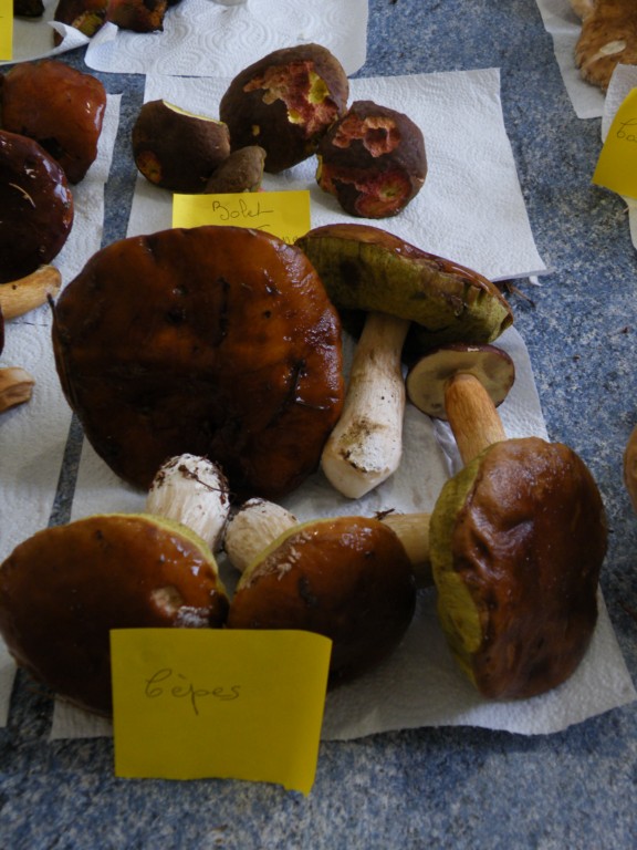 DSCF0312 [1280x768].JPG