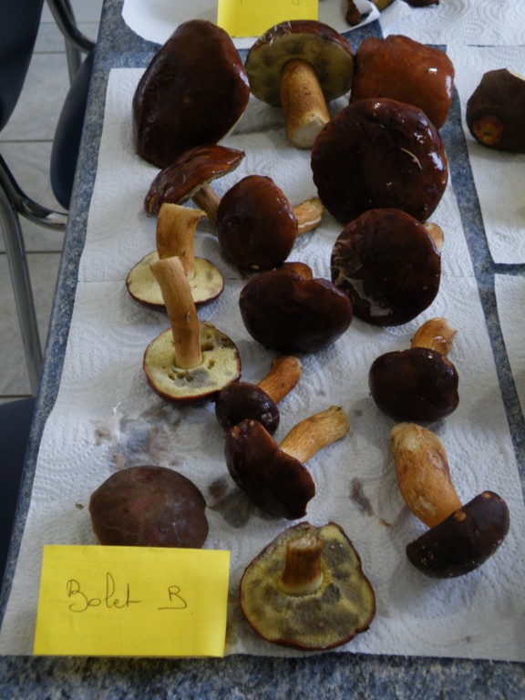 DSCF0313 [1280x768].JPG