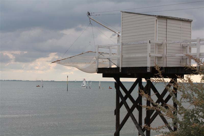 IMG_3625 (Medium).JPG