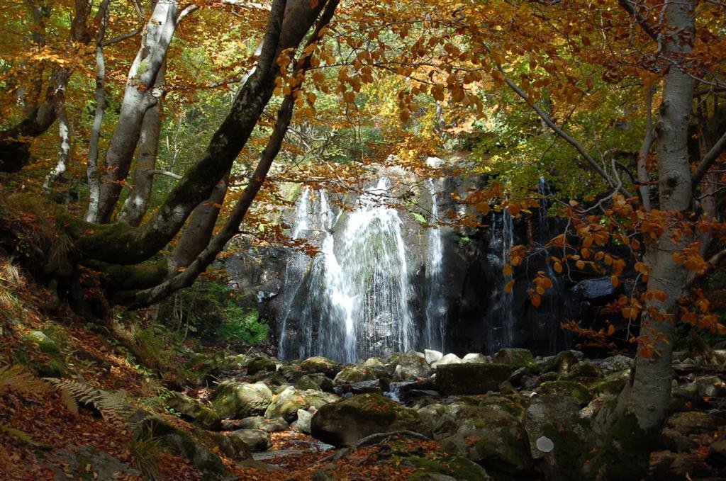 Non ce n'est pas le paradis...C'est l'Aubrac Octobre 2008 209 (Large).jpg