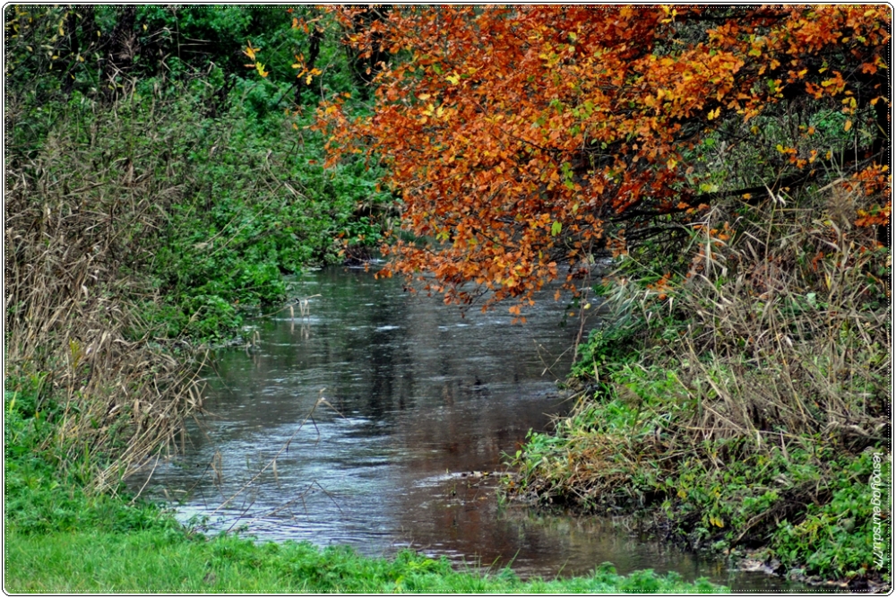 DSC_1250-1 [1000X750].jpg