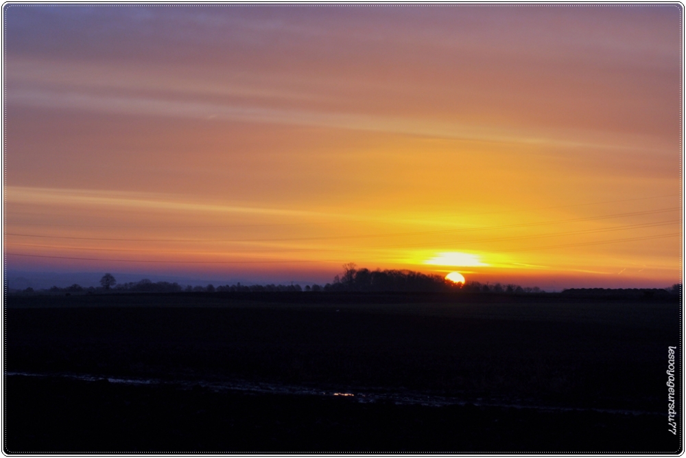 DSC_1191-1 [1000X750].jpg