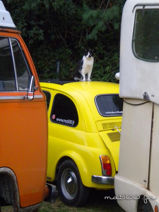 balade-en-camargue-fiat-500-tibo-2009-07.jpg