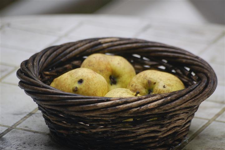 DSC_4469 (Small).JPG