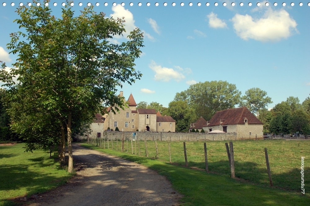 DSC_7020-1 [1000X750].jpg