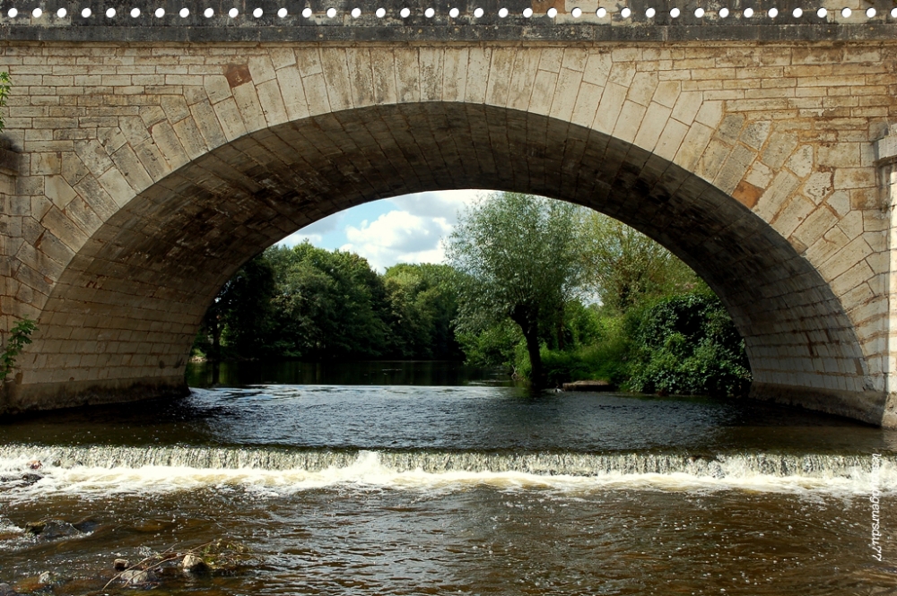 DSC_7036-1 [1000X750].jpg