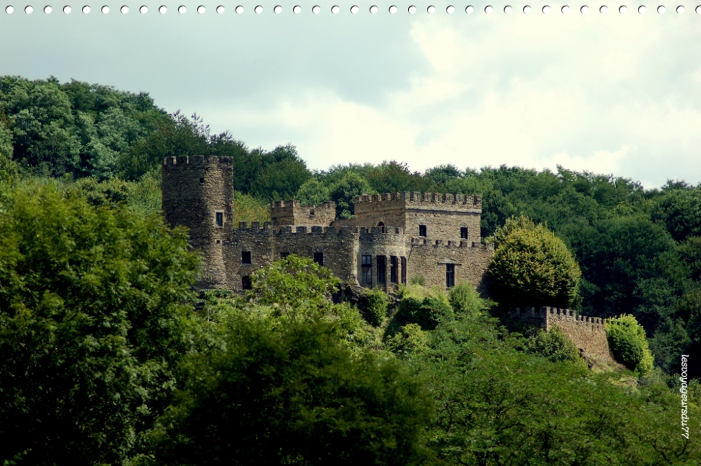 DSC_7063-1 [1000X750].jpg