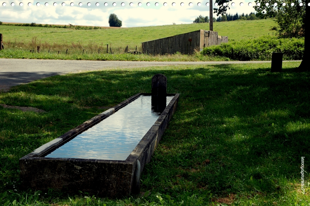 DSC_7082-1 [1000X750].jpg