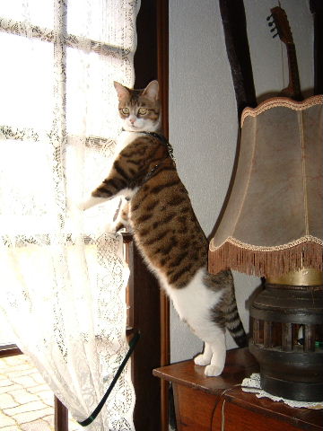 c"est pas mal dehors