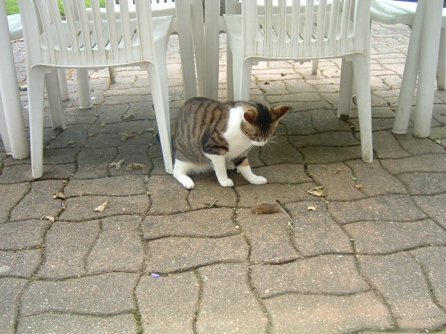 c"est qu"oi ça***ça bouge