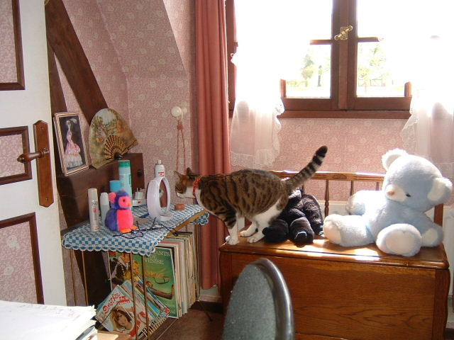 je suis belle ce matin