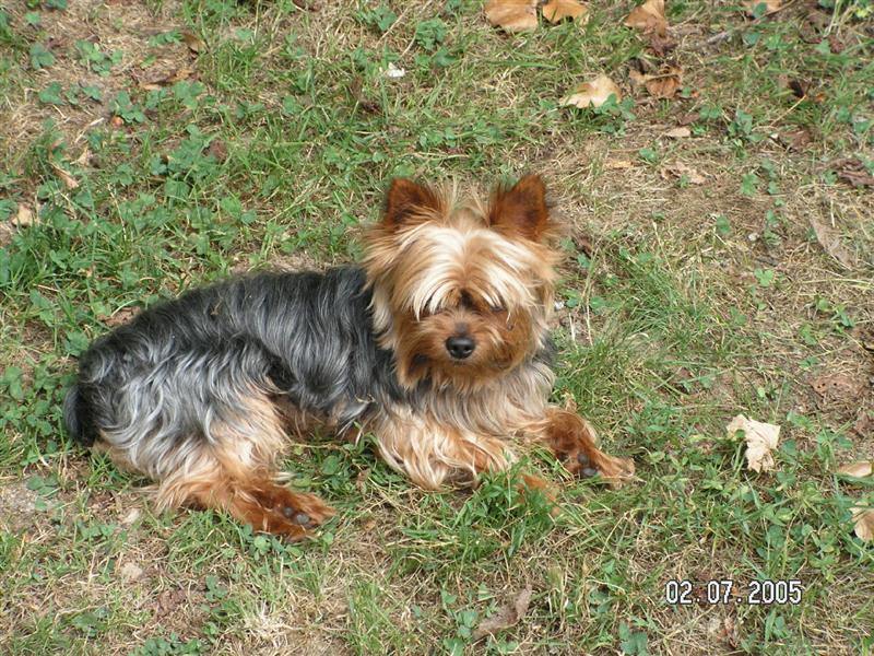 Celle-là est plus vieille et là je trouve qu'il ressemblait beaucoup à ton Hermès