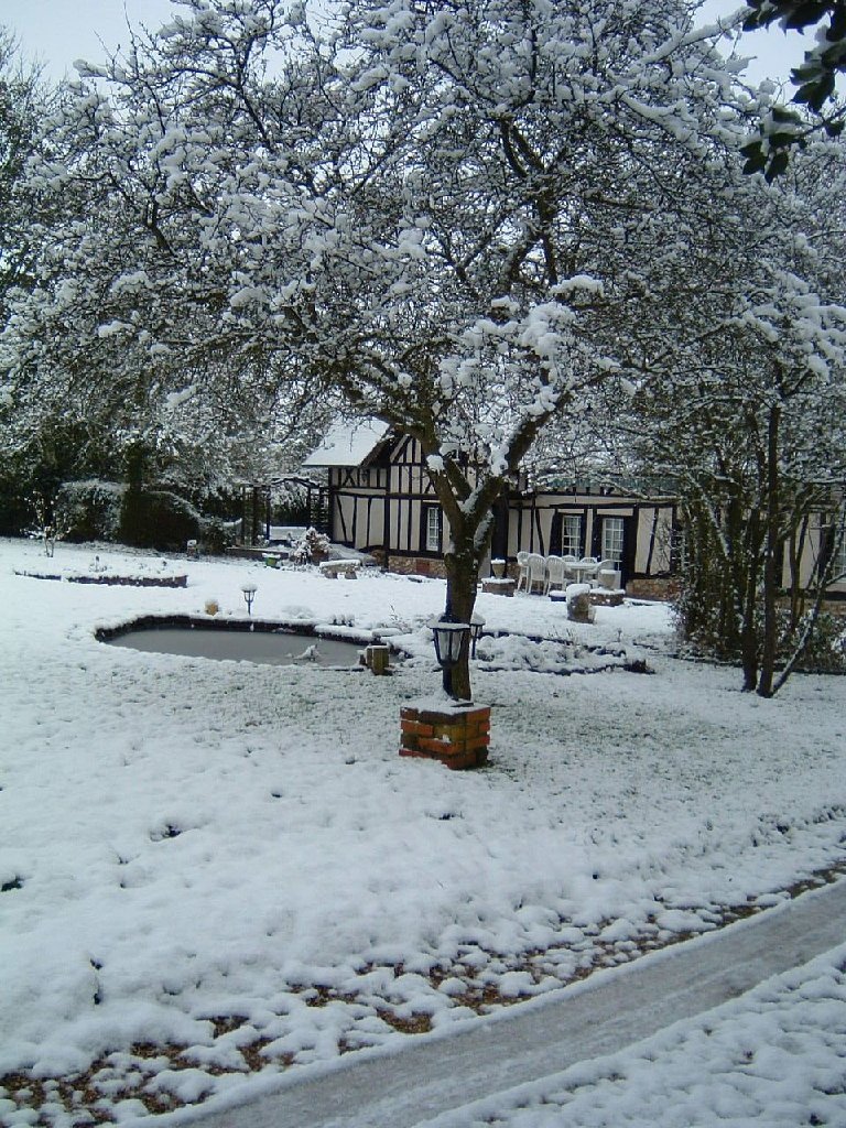 DSCF0207.JPG