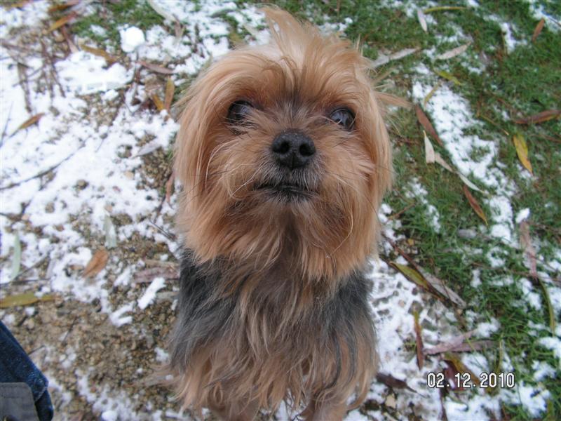 PICT0557 (Medium).JPG