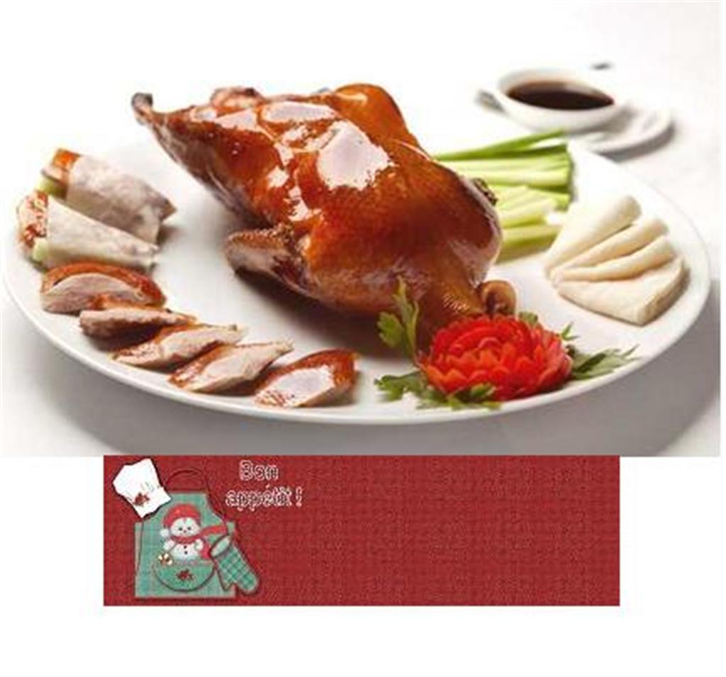 CANARD~1 (Large).JPG