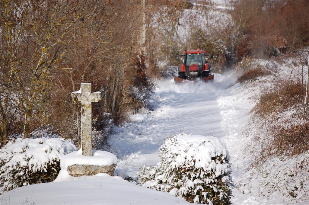 Decembre 2010 071 (Large).jpg