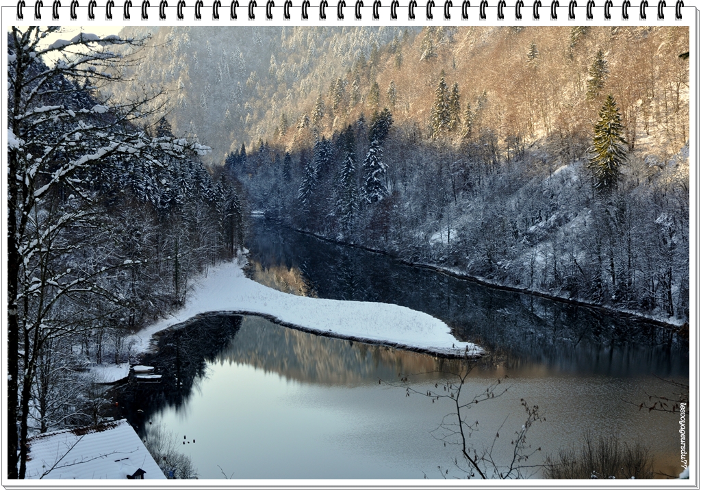 DSC_1605-1.jpg