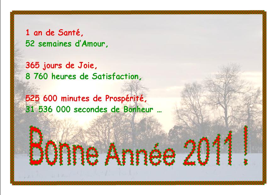 carte de voeux 2010.2011.jpg